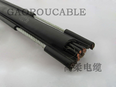 行車手柄控制電纜（葫蘆電纜）